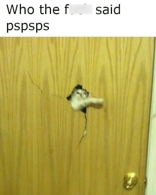 Who the f said pspsps