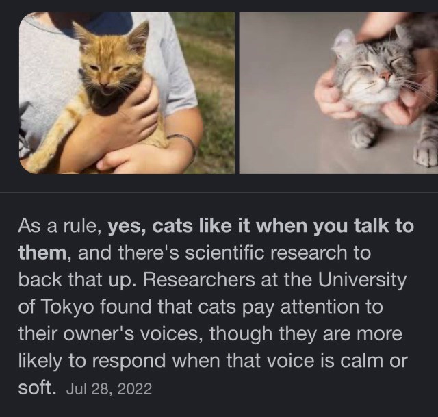 As a rule, yes, cats like it when you talk to them, and there's scientific research to back that up. Researchers at the University of Tokyo found that cats pay attention to their owner's voices, though they are more likely to respond when that voice is calm or soft. Jul 28, 2022