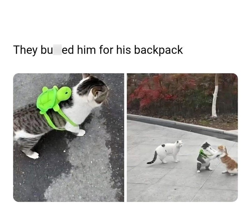 They bu ed him for his backpack