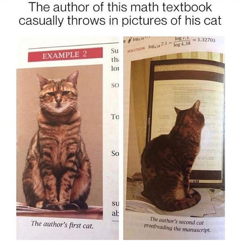 The author of this math textbook casually throws in pictures of his cat 9log log 7.1 EXAMPLE 2 Su SOLUTION log438 7.1- log 4.38 = 1.32703 th lo SO The author's first cat. To 10 So su ab The author's second cat proofreading the manuscript.