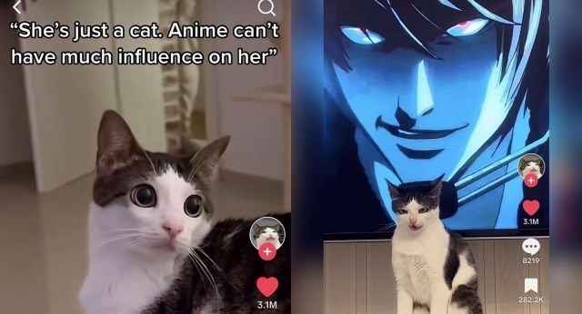 "She's just a cat. Anime can't have much influence on her" 3.1M 8219 282.2K 3.1M