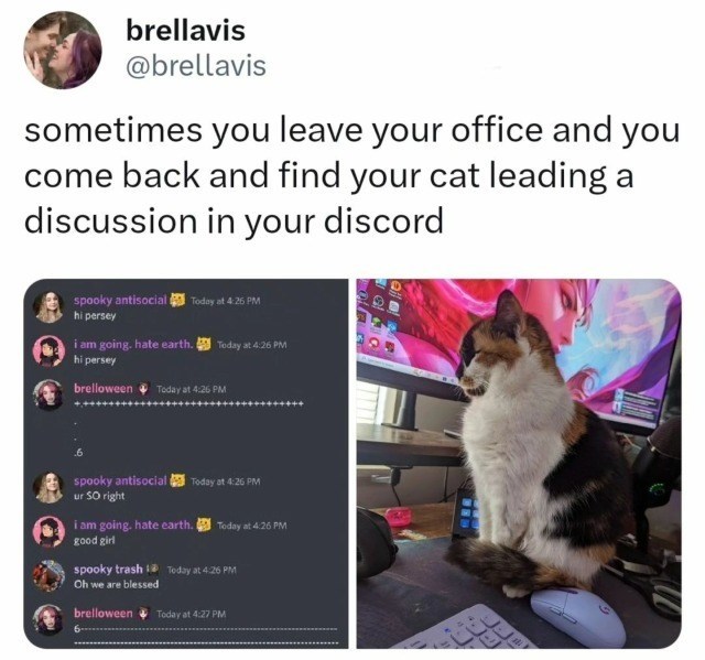 brellavis @brellavis sometimes you leave your office and you come back and find your cat leading a discussion in your discord spooky antisocial Today at 4:26 PM hi persey i am going. hate earth. Today at 4:26 PM hi persey brelloween Today at 4:26 PM spooky antisocial Today at 4:26 PM ur SO right i am going. hate earth. Today at 4:26 PM good girl spooky trash Today at 4:26 PM Oh we are blessed brelloween Today at 4:27 PM