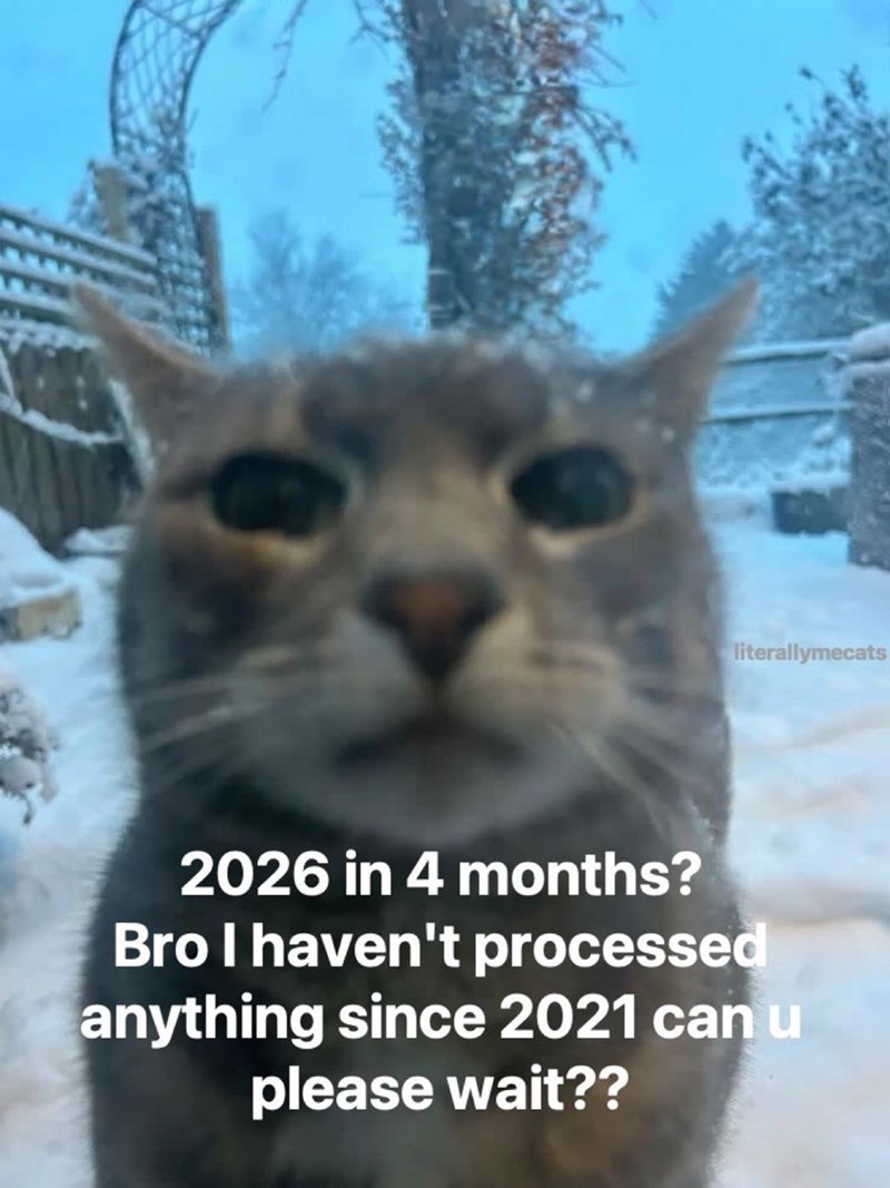 literallymecats 2026 in 4 months? Bro I haven't processed anything since 2021 can u please wait??