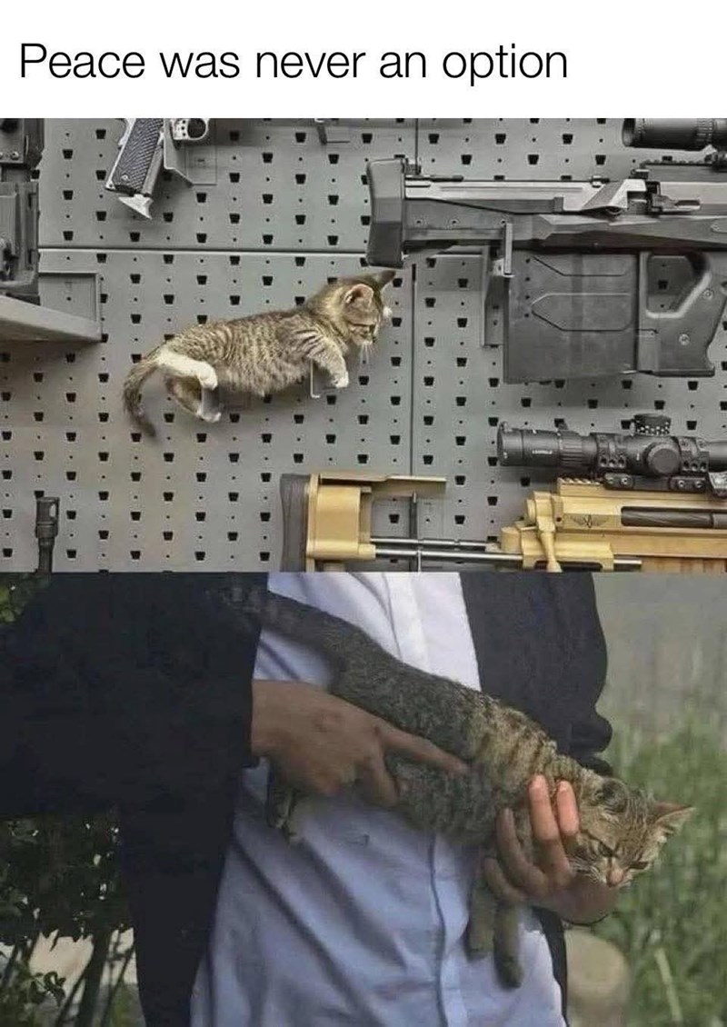 Peace was never an option