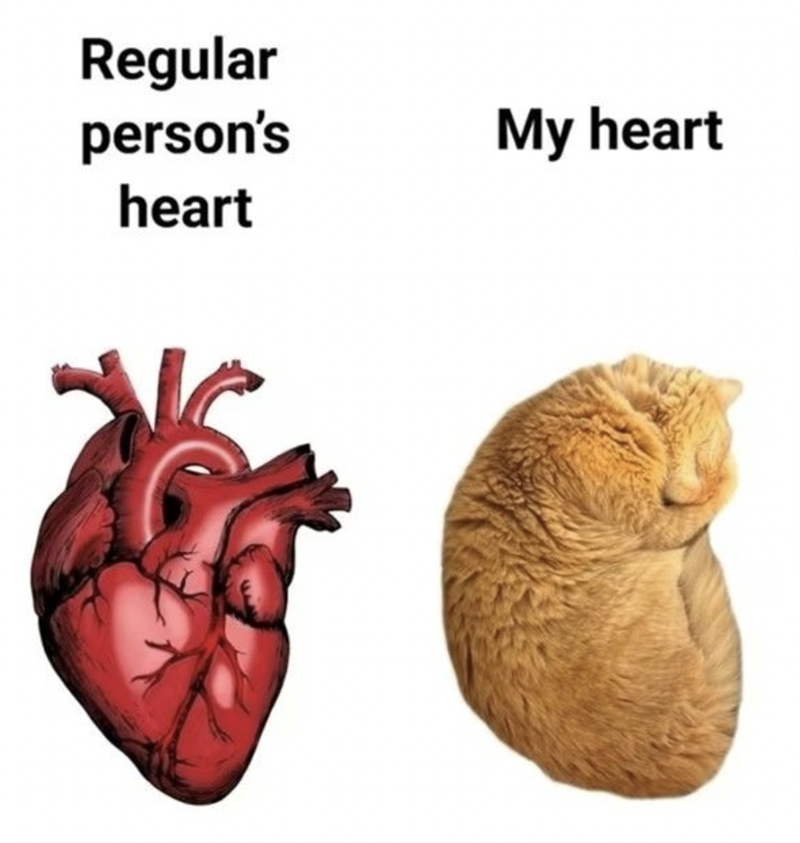 Regular person's heart My heart