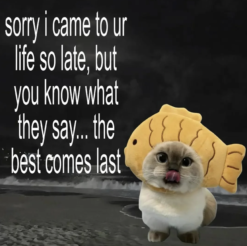 sorry i came to un life so late, but you know what they say... the best comes last