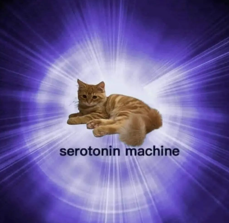 serotonin machine