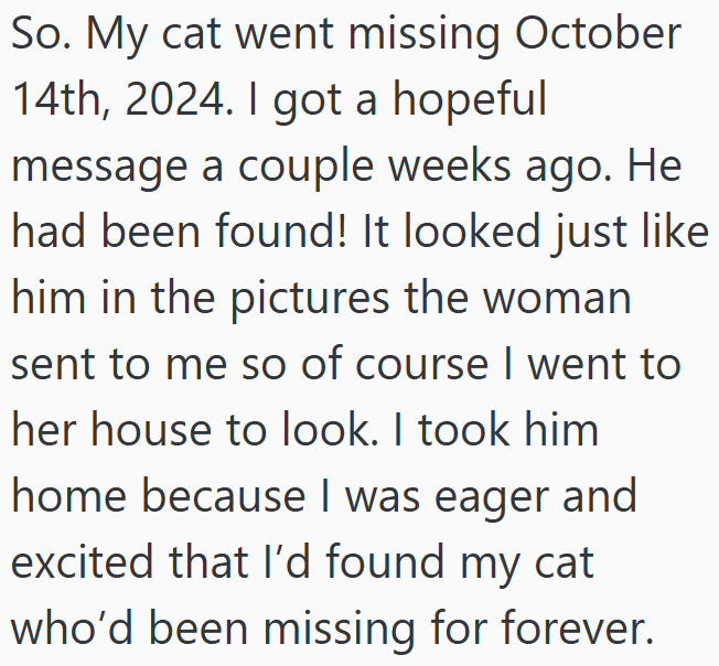 So. My cat went missing October 14th, 2024. I got a hopeful message a couple weeks ago. He had been found! It looked just like him in the pictures the woman sent to me so of course I went to her house to look. I took him home because I was eager and excited that I'd found my cat who'd been missing for forever.