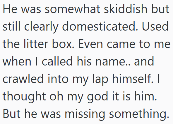 He was somewhat skiddish but still clearly domesticated. Used the litter box. Even came to me when I called his name.. and crawled into my lap himself. I thought oh my god it is him. But he was missing something.