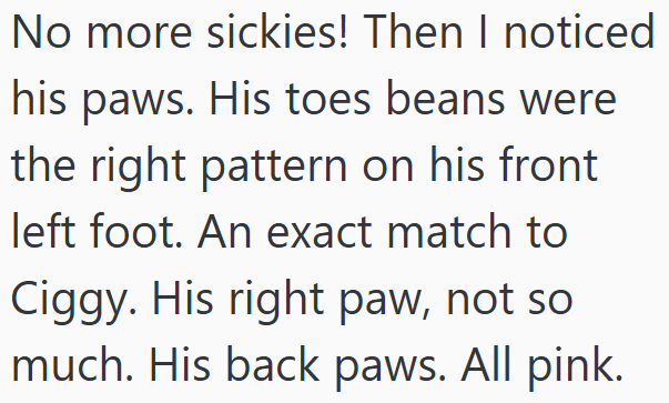 No more sickies! Then I noticed his paws. His toes beans were the right pattern on his front left foot. An exact match to Ciggy. His right paw, not so much. His back paws. All pink.