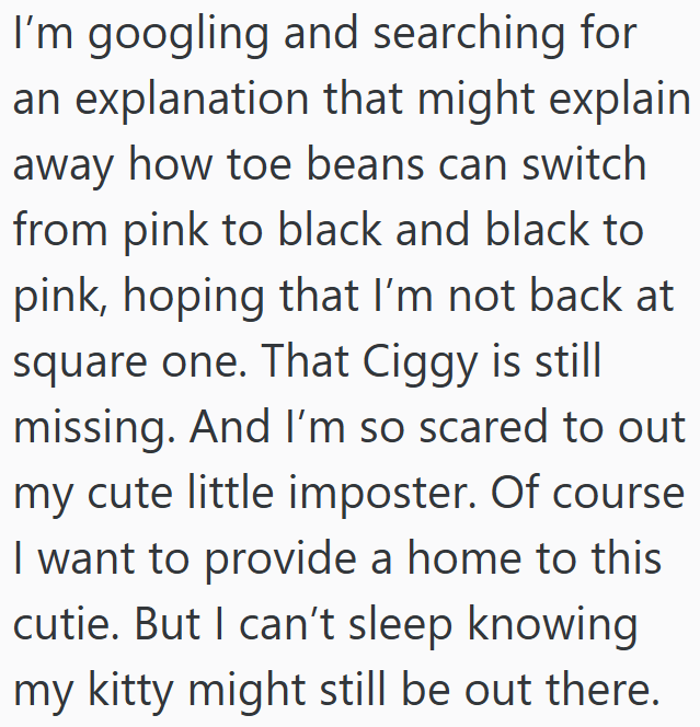 I'm googling and searching for an explanation that might explain away how toe beans can switch from pink to black and black to pink, hoping that I'm not back at square one. That Ciggy is still missing. And I'm so scared to out my cute little imposter. Of course I want to provide a home to this cutie. But I can't sleep knowing my kitty might still be out there.