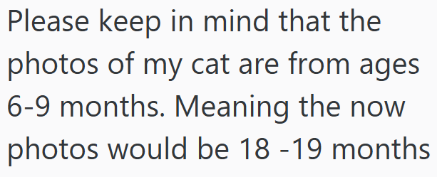 Please keep in mind that the photos of my cat are from ages 6-9 months. Meaning the now photos would be 18 - 19 months
