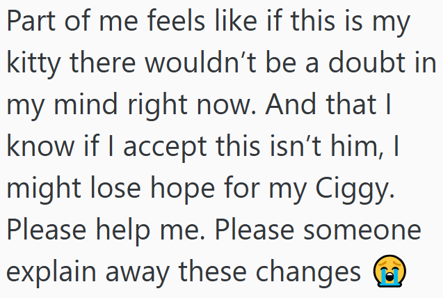 Part of me feels like if this is my kitty there wouldn't be a doubt in my mind right now. And that I know if I accept this isn't him, I might lose hope for my Ciggy. Please help me. Please someone explain away these changes