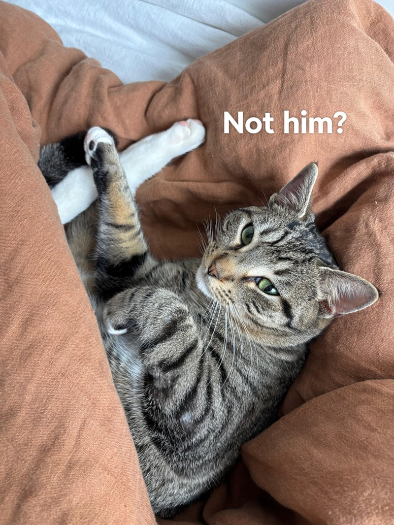 Not him?