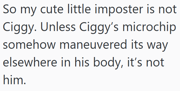 So my cute little imposter is not Ciggy. Unless Ciggy's microchip somehow maneuvered its way elsewhere in his body, it's not him.