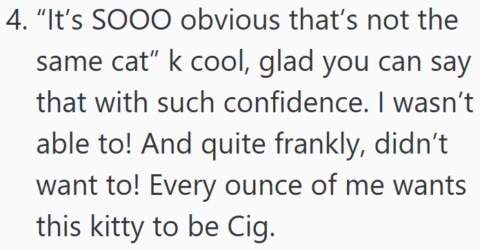 4. "It's SOOO obvious that's not the same cat" k cool, glad you can say that with such confidence. I wasn't able to! And quite frankly, didn't want to! Every ounce of me wants this kitty to be Cig.