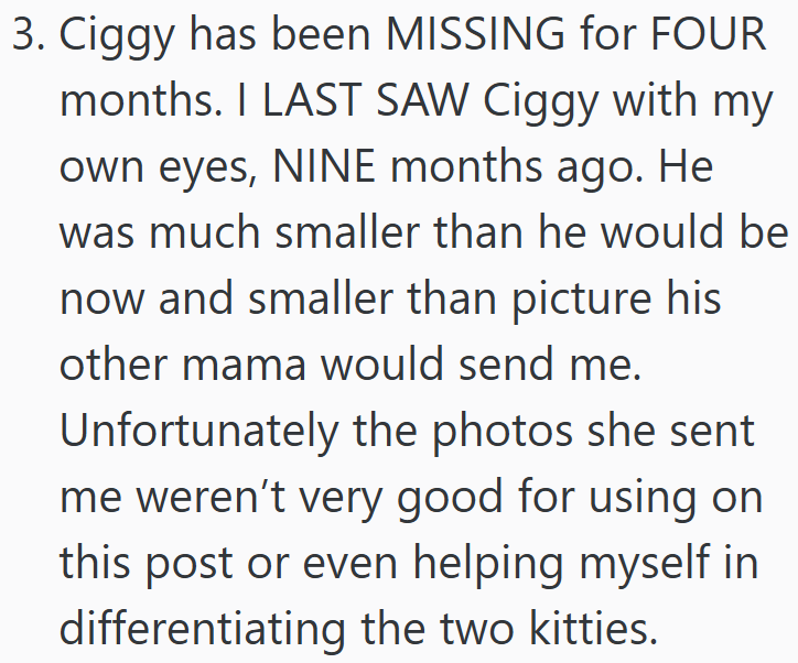 3. Ciggy has been MISSING for FOUR months. I LAST SAW Ciggy with my own eyes, NINE months ago. He was much smaller than he would be now and smaller than picture his other mama would send me. Unfortunately the photos she sent me weren't very good for using on this post or even helping myself in differentiating the two kitties.