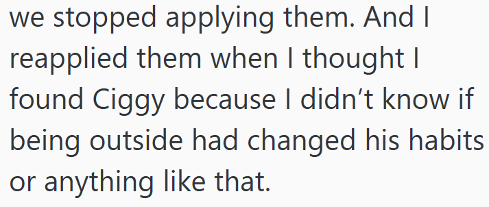 we stopped applying them. And I reapplied them when I thought I found Ciggy because I didn't know if being outside had changed his habits or anything like that.