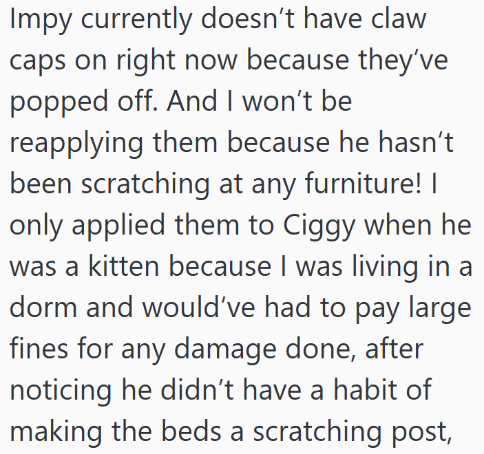Impy currently doesn't have claw caps on right now because they've popped off. And I won't be reapplying them because he hasn't been scratching at any furniture! I only applied them to Ciggy when he was a kitten because I was living in a dorm and would've had to pay large fines for any damage done, after noticing he didn't have a habit of making the beds a scratching post,