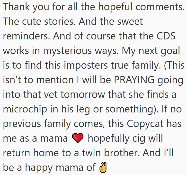 Thank you for all the hopeful comments. The cute stories. And the sweet reminders. And of course that the CDS works in mysterious ways. My next goal is to find this imposters true family. (This isn't to mention I will be PRAYING going into that vet tomorrow that she finds a microchip in his leg or something). If no previous family comes, this Copycat has me as a mama hopefully cig will return home to a twin brother. And I'll be a happy mama of