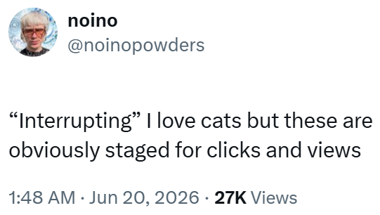 noino @noinopowders "Interrupting" I love cats but these are obviously staged for clicks and views 1:48 AM • Jun 20, 2026 · 27K Views