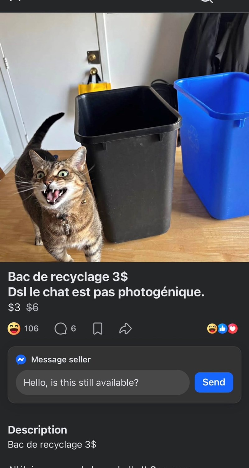 Bac de recyclage 3$ Dsl le chat est pas photogénique. $3 $6 106 6 □ ☹ Message seller Hello, is this still available? Send Description Bac de recyclage 3$ AII/I
