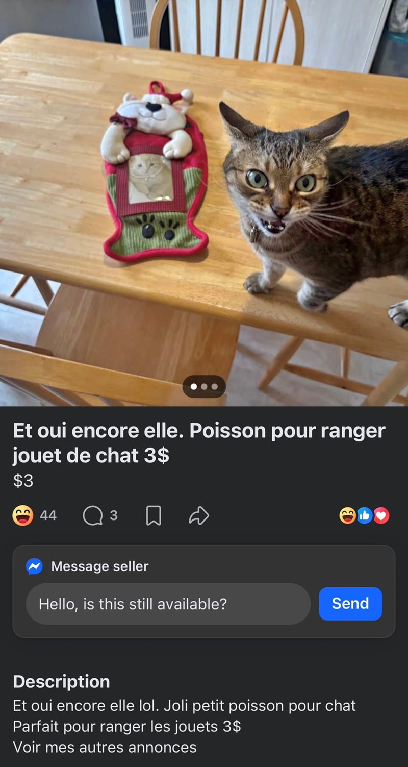 Et oui encore elle. Poisson pour ranger jouet de chat 3$ $3 44 3 ☐ Message seller Hello, is this still available? Send Description Et oui encore elle lol. Joli petit poisson pour chat Parfait pour ranger les jouets 3$ Voir mes autres annonces