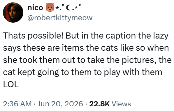nico *.° C.±° @robertkittymeow Thats possible! But in the caption the lazy says these are items the cats like so when she took them out to take the pictures, the cat kept going to them to play with them LOL • 2:36 AM ⚫ Jun 20, 2026 · 22.8K Views