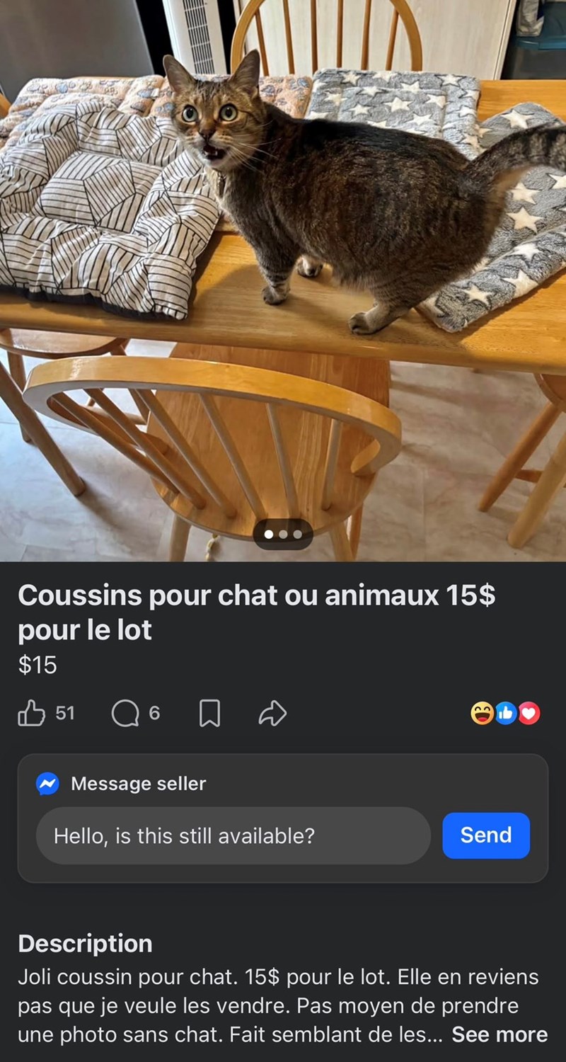 Coussins pour chat ou animaux 15$ pour le lot $15 51 ☐ 6 Message seller Hello, is this still available? Send Description Joli coussin pour chat. 15$ pour le lot. Elle en reviens pas que je veule les vendre. Pas moyen de prendre une photo sans chat. Fait semblant de les... See more