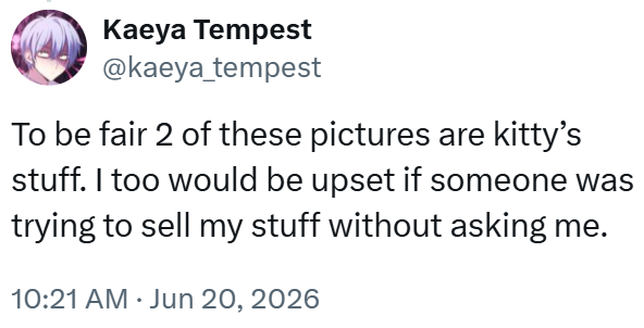 Kaeya Tempest @kaeya_tempest To be fair 2 of these pictures are kitty's stuff. I too would be upset if someone was trying to sell my stuff without asking me. 10:21 AM ⚫ Jun 20, 2026