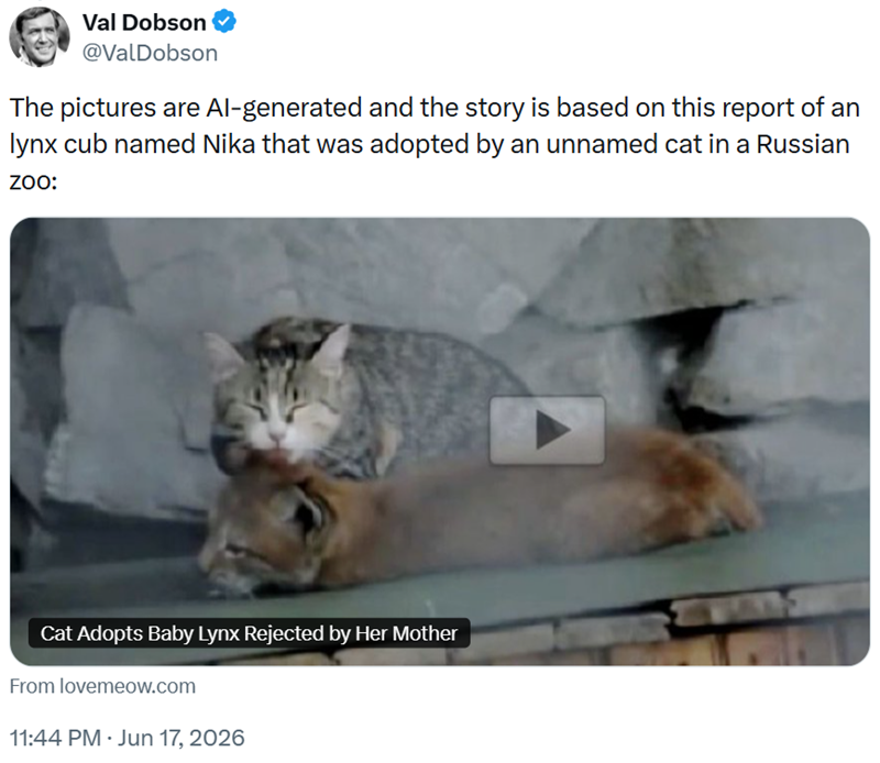 Val Dobson @ValDobson The pictures are Al-generated and the story is based on this report of an lynx cub named Nika that was adopted by an unnamed cat in a Russian ZOO: Cat Adopts Baby Lynx Rejected by Her Mother From lovemeow.com 11:44 PM · Jun 17, 2026