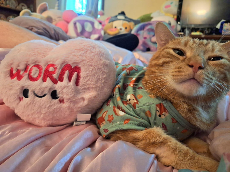 WORM