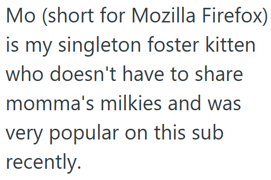 Mo (short for Mozilla Firefox) is my singleton foster kitten who doesn't have to share momma's milkies and was very popular on this sub recently.
