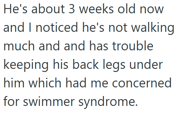 He's about 3 weeks old now and I noticed he's not walking much and and has trouble keeping his back legs under him which had me concerned for swimmer syndrome.