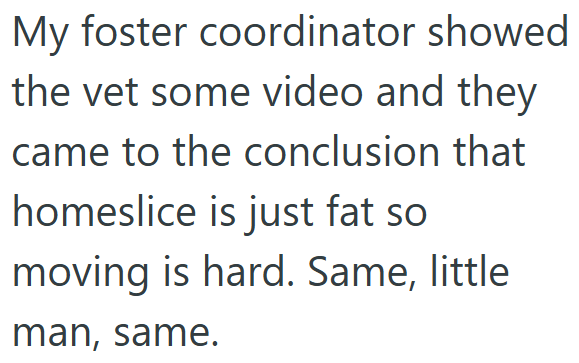 My foster coordinator showed the vet some video and they came to the conclusion that homeslice is just fat so moving is hard. Same, little man, same.