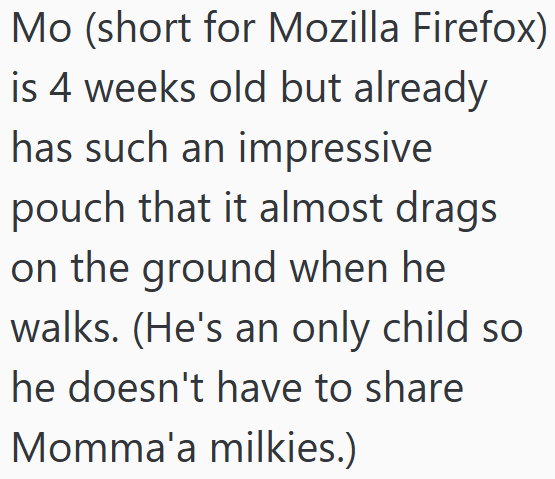 Mo (short for Mozilla Firefox) is 4 weeks old but already has such an impressive pouch that it almost drags on the ground when he walks. (He's an only child so he doesn't have to share Momma'a milkies.)