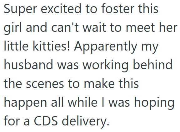 Super excited to foster this girl and can't wait to meet her little kitties! Apparently my husband was working behind the scenes to make this happen all while I was hoping for a CDS delivery.