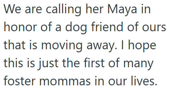 We are calling her Maya in honor of a dog friend of ours that is moving away. I hope this is just the first of many foster mommas in our lives.