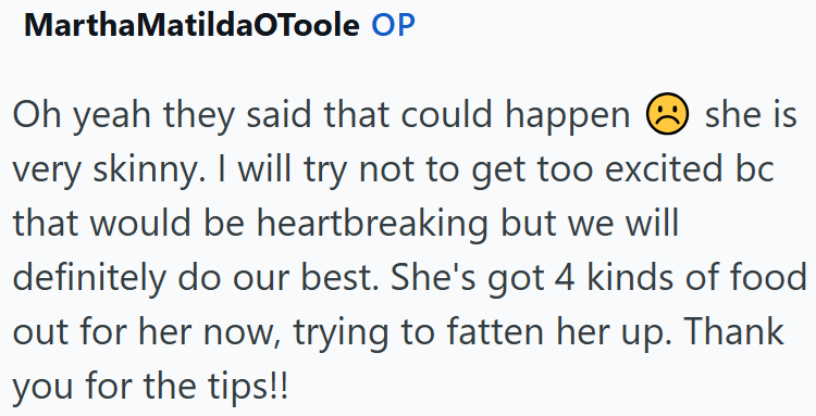Martha MatildaOToole OP Oh yeah they said that could happen she is very skinny. I will try not to get too excited bc that would be heartbreaking but we will definitely do our best. She's got 4 kinds of food out for her now, trying to fatten her up. Thank you for the tips!!