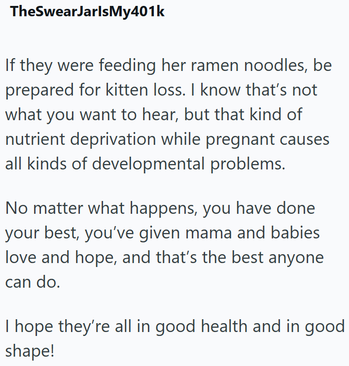 TheSwearJarlsMy401k If they were feeding her ramen noodles, be prepared for kitten loss. I know that's not what you want to hear, but that kind of nutrient deprivation while pregnant causes all kinds of developmental problems. No matter what happens, you have done your best, you've given mama and babies love and hope, and that's the best anyone can do. I hope they're all in good health and in good shape!