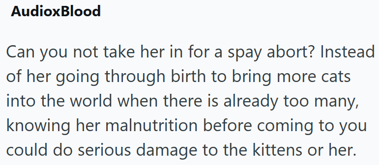 AudioxBlood Can you not take her in for a spay abort? Instead of her going through birth to bring more cats into the world when there is already too many, knowing her malnutrition before coming to you could do serious damage to the kittens or her.