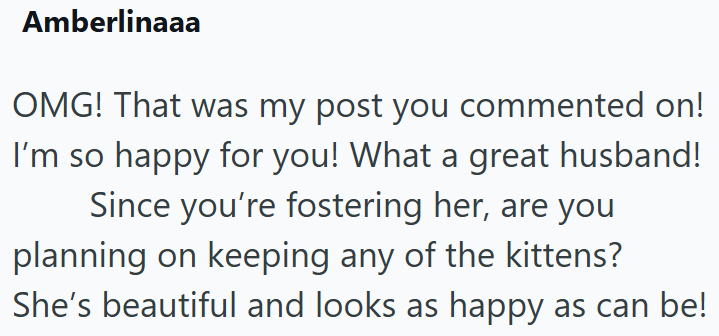 Amberlinaaa OMG! That was my post you commented on! I'm so happy for you! What a great husband! Since you're fostering her, are you planning on keeping any of the kittens? She's beautiful and looks as happy as can be!