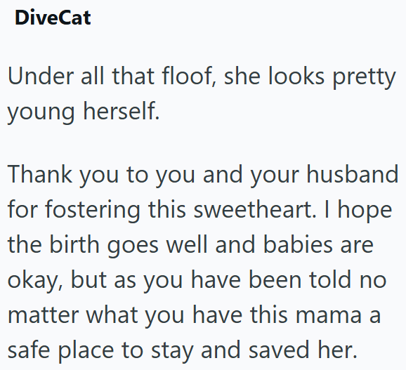 DiveCat Under all that floof, she looks pretty young herself. Thank you to you and your husband for fostering this sweetheart. I hope the birth goes well and babies are okay, but as you have been told no matter what you have this mama a safe place to stay and saved her.