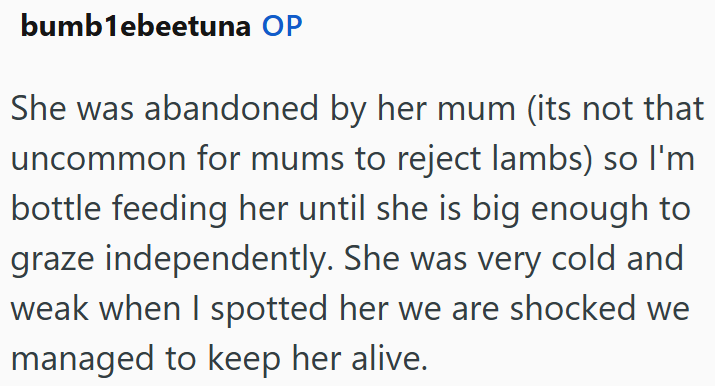 bumblebeetuna OP She was abandoned by her mum (its not that uncommon for mums to reject lambs) so I'm bottle feeding her until she is big enough to graze independently. She was very cold and weak when I spotted her we are shocked we managed to keep her alive.