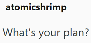 atomicshrimp What's your plan?