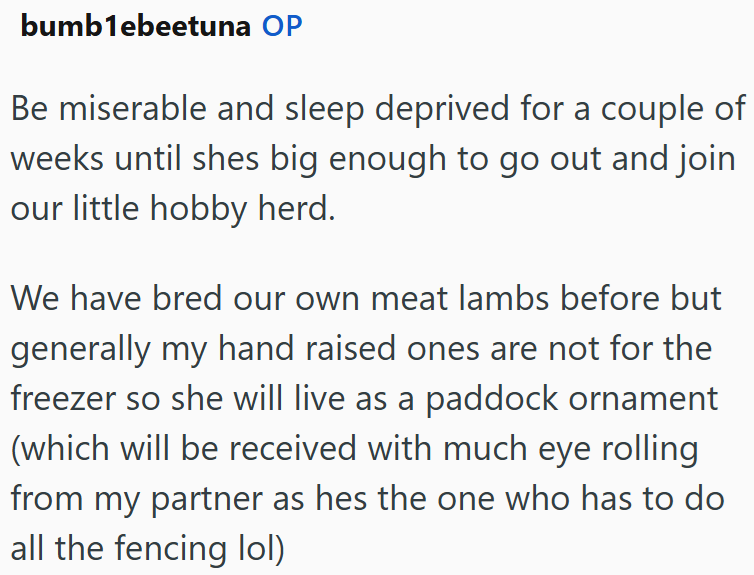 bumblebeetuna OP Be miserable and sleep deprived for a couple of weeks until shes big enough to go out and join our little hobby herd. We have bred our own meat lambs before but generally my hand raised ones are not for the freezer so she will live as a paddock ornament (which will be received with much eye rolling from my partner as hes the one who has to do all the fencing lol)