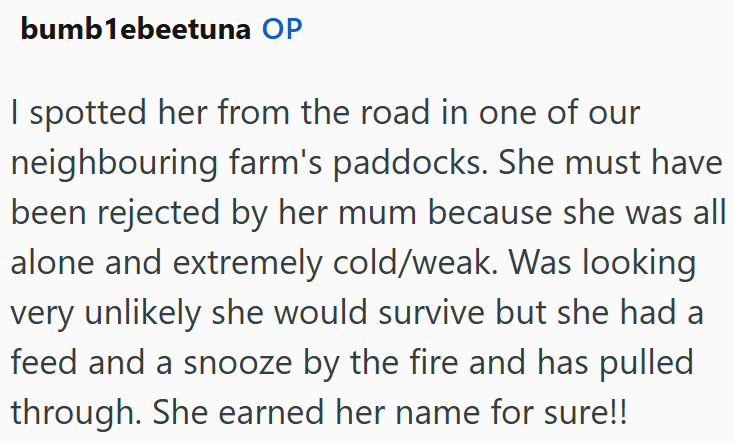 bumb1ebeetuna OP I spotted her from the road in one of our neighbouring farm's paddocks. She must have been rejected by her mum because she was all alone and extremely cold/weak. Was looking very unlikely she would survive but she had a feed and a snooze by the fire and has pulled through. She earned her name for sure!!