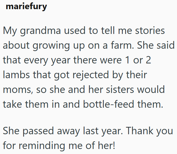 mariefury My grandma used to tell me stories about growing up on a farm. She said that every year there were 1 or 2 lambs that got rejected by their moms, so she and her sisters would take them in and bottle-feed them. She passed away last year. Thank you for reminding me of her!