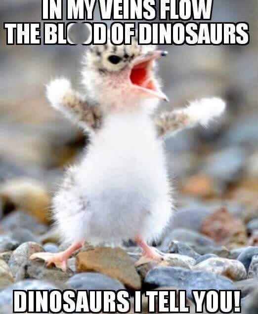 IN MY VEINS FLOW THE BLOD OF DINOSAURS DINOSAURS I TELL YOU!