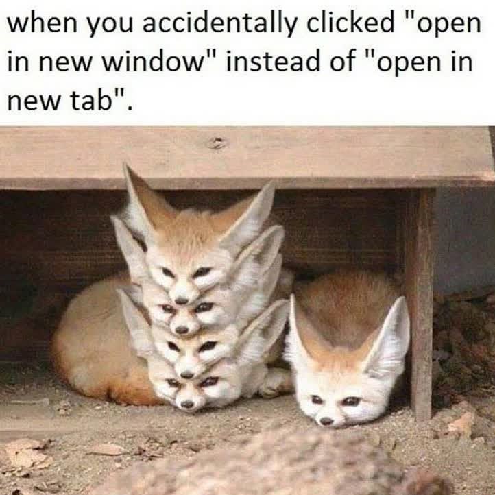 when you accidentally clicked "open in new window" instead of "open in new tab".